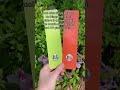 new bookmark designs - bookshelf with a cat and hanging plants with a cat!