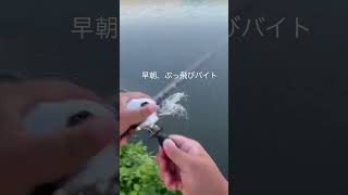 【バス釣り】ポッパーで水面炸裂！！！