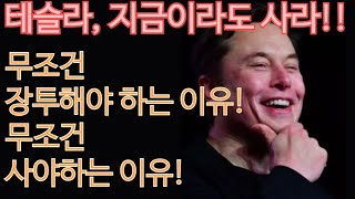 [고버니의 주식방송] 테슬라, 무조건 보유해야 하는 이유! 무조건 장투해야 하는 이유! 테슬라를 무조건 사야하는 이유!