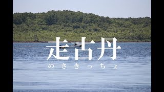 風蓮湖に突き出す走古丹の突き当たりに行ってみた！@北海道別海町 Hashirikotan of Lake Furen at Betsukai, Hokkaido