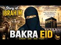 Muslims bakrid celebrate karte hain prophet ibrahim(A•S)ki qurbani #Eidulaha 2026 #Allah#Hajj#ibrahi