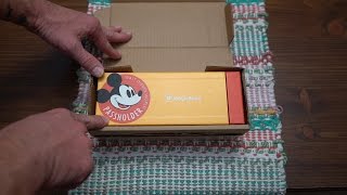 Unboxing Our Walt Disney World Magic Bands!!