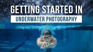 Getting Started in Underwater Photography Made EASY!