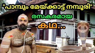 പാമ്പുംമേയ്ക്കാട്ട് നമ്പൂരി..#youtube #story #stories #malayalam #video #viralvideo