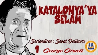 Katalonya'ya Selam - George Orwell (Sesli Kitap 1.Parça) (Seval Delikara)