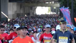 大阪マラソン2014年 あの人もこの人も走ってるー！