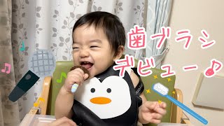 【生後9～10ヶ月】歯磨きシートを卒業して歯ブラシを解禁【Vlog育児】 Baby brushing teeth with a toothbrush