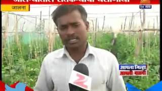 Jalna : Profit From termeric Farming