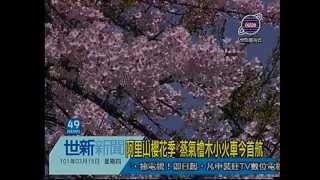 世新新聞 阿里山櫻花季 蒸氣檜木小火車今首航