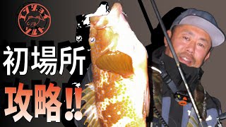 初夏のアコウ！土居さん新場所を攻略する！