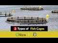 #2 Types of Cages you can Use for Fish Farming || Cage Fish Farming