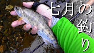 FlyFishing in Hokkaido Japan - July2020 - 北海道でフライフィッシング