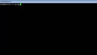 Linux - groups Command - w3resource