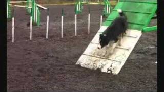 Dog Agility - Scott's First Show