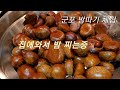 vlog 군포시부곡동 밤농장 밤따기체험 밤줍기 나만 알고싶은 밤농장 공유합니다 🌰 밤줍기체험 밤따기 수도권밤따기체험 군포밤따기체험 알밤