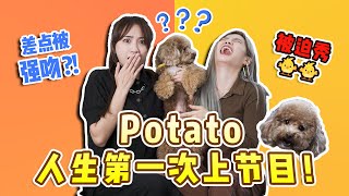 请到Gladish & Haoren的宝贝上节目😍 Potato! 🐶想养狗狗的看着边！#说说J能量