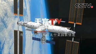 有“反转”！来看太空菜园新情况 |《天宫TV》CCTV中文国际