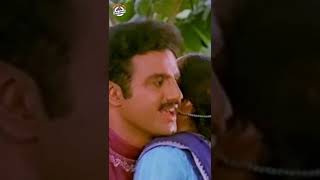 Nandamuri Balakrishna's President Gari Abbayi Movie Songs | Chekkam Chekkam Song | #YTShorts | MPP