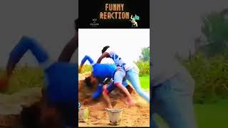 চরম বিনোদন।new comedy video #funnyreaction #comedymovies #funnycomedy #comedy #funny #funnyvideos