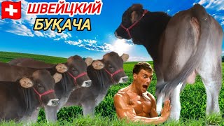 СТОП ФУРУХТА ШУД