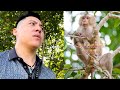 Dad's Sad Journey to the Place Where Monkey Kaka Was Released