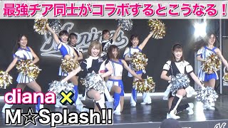 【セパ最強チア同士がコラボするとこうなる！】M☆Splash!! × diana(ディアーナ)メンバー紹介ダンス 2024.6.11 ZOZOマリンスタジアム