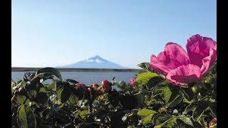 花・森・星ルート【北海道るもい地域ここ路旅】