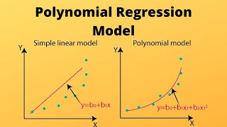 machine learning with python video 14 Polynomial Regression