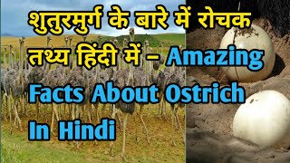 😀Amazing facts of OSTRICH.शुतुरमुर्ग के बारे में जानकारी।😱