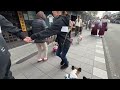 小江戸川越 情緒溢れるレトロな街並み 【french_bulldog フレンチブルドッグ 】 愛犬とレトロ散策