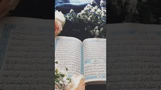 Most Beautiful Recitation of Surah Al-Falaq by Mishary Rashid Alafasy | LoveTheQuran