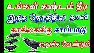 காக்கைக்கு இந்த நேரத்தில் தான் சாப்பாடு வைக்க வேண்டும் | keep food for crow at this time