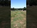 225 yard drive