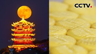 “十五的月亮十五圆” 科学赏月指南请查收！寻味中秋 传承近400年的非遗月饼是啥味道？| CCTV「明月照家国」20230929