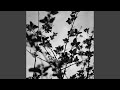 Curtain (Reprise)