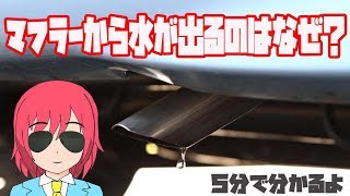 【5分でわかる】マフラーから水が出るのはなぜ？【Vtuber】