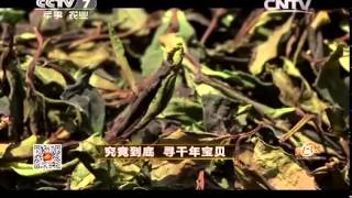 20140612 致富经 究竟到底 寻千年宝贝