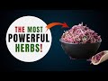 10 Most POWERFUL Medicinal Herbs! (PROVEN by Science!)