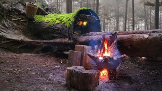 🔥 365 Days Alone in the Wilderness – Ultimate Survival Shelter Build! 🏕️🌲