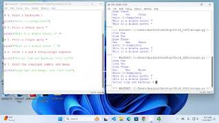 Python Escape Sequences in the Print Statement