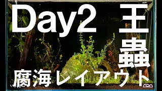 【ジブリ水槽】45cm水槽にナウシカの「王蟲が住む腐海」を再現してみた Day2