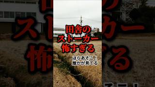 この世で一番恐ろしい動画を入手しました。｜#shorts #恐怖