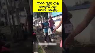 පාරෙ කුණු දාල නොන්ඩි උන පොශ් කෙල්ල #shorts #viral