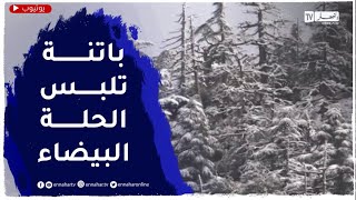 باتنة: تساقط كميات معتبرة من الثلوج على المرتفعات