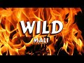 mali wild official audio