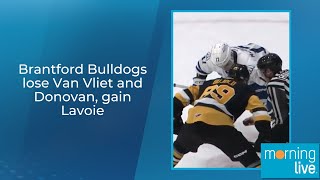 Brantford Bulldogs lose Van Vliet and Donovan, gain Lavoie