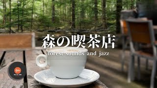 環境音＋JAZZ やさしい森の喫茶店 自然環境音 リラックスカフェ CAFE MUSIC 癒しの空間 鳥のさえずり 川のせせらぎ 作業 勉強 - 作業用BGM