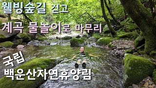 올 여름 폭염을 이기는 방법!!/웰빙숲길도 걷고 계곡 물놀이는 덤으로/국립백운산자연휴양림/원주 갈만한 곳/횡성 막국수 맛집