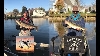 Fishin Tooling \u0026 Happy Hour Marina catching some Saugeye in November 2018