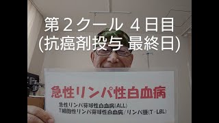 「急性リンパ性白血病の入院日記」第２クール４日目(抗癌剤投与(最終)３日目)